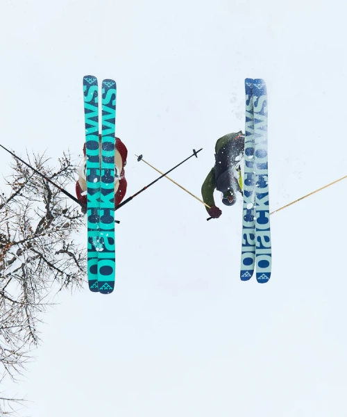 Snowboards 